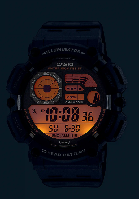 Montre Casio Noir ws 1500h